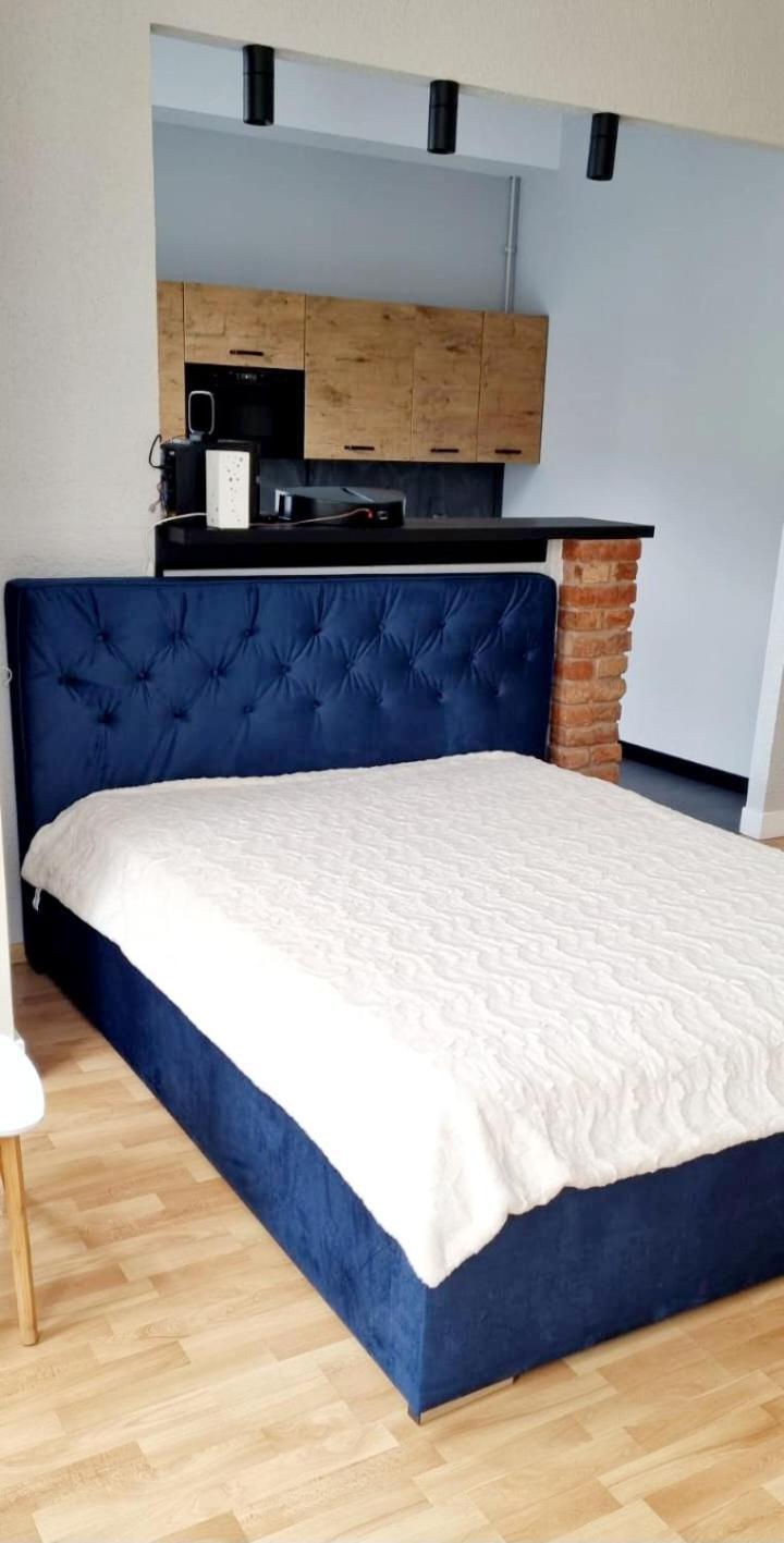 Apartamenty Lazurowy I Sloneczny Z Darmowym Parkingiem Strzezonym Еленя-Гура Экстерьер фото